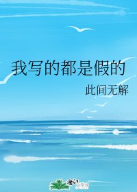 我写的都是假的